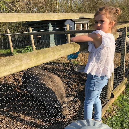 Willow Court Farm Studio East & Petting Farm, 8 Mins To Legoland & Windsor, 15 Mins To Lapland Uk Bagian luar foto