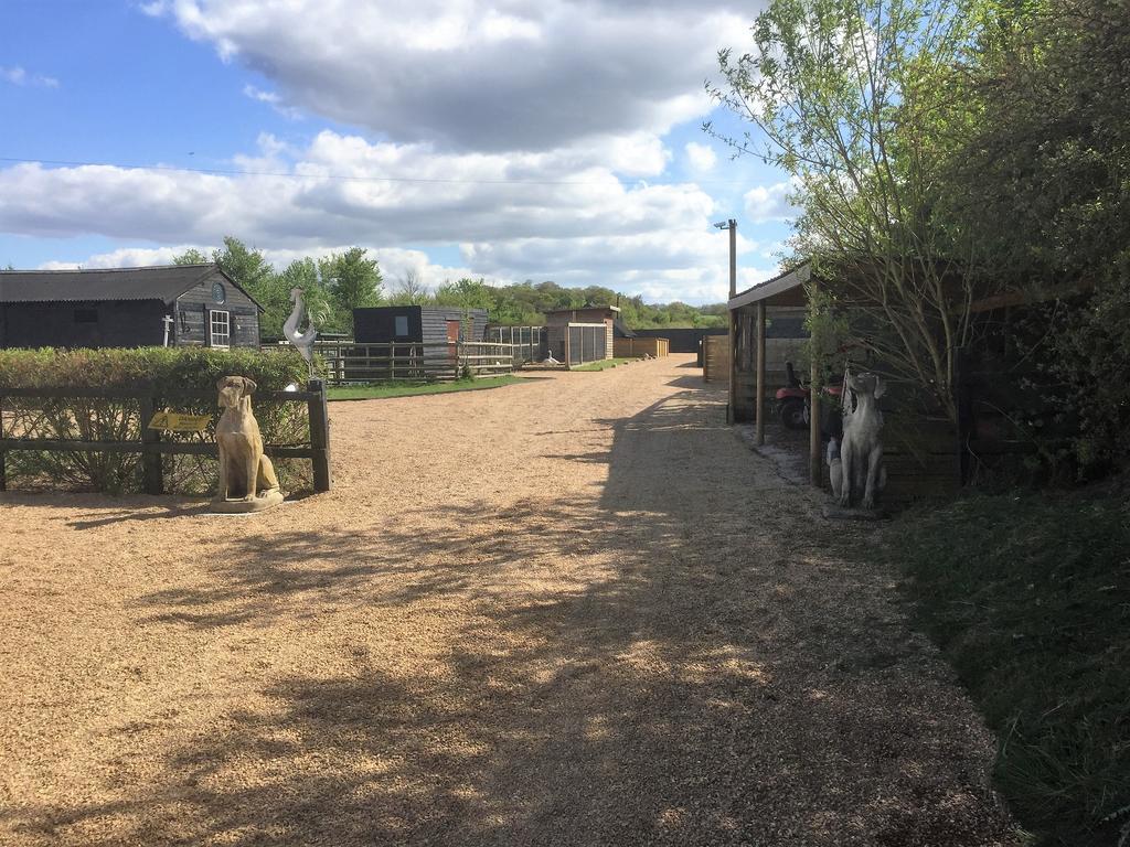 Willow Court Farm Studio East & Petting Farm, 8 Mins To Legoland & Windsor, 15 Mins To Lapland Uk Bagian luar foto