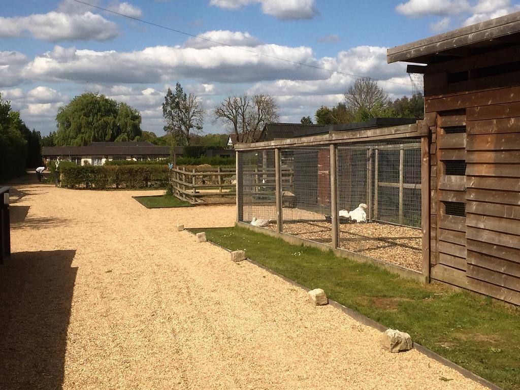 Willow Court Farm Studio East & Petting Farm, 8 Mins To Legoland & Windsor, 15 Mins To Lapland Uk Bagian luar foto