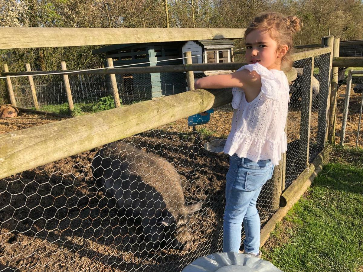 Willow Court Farm Studio East & Petting Farm, 8 Mins To Legoland & Windsor, 15 Mins To Lapland Uk Bagian luar foto