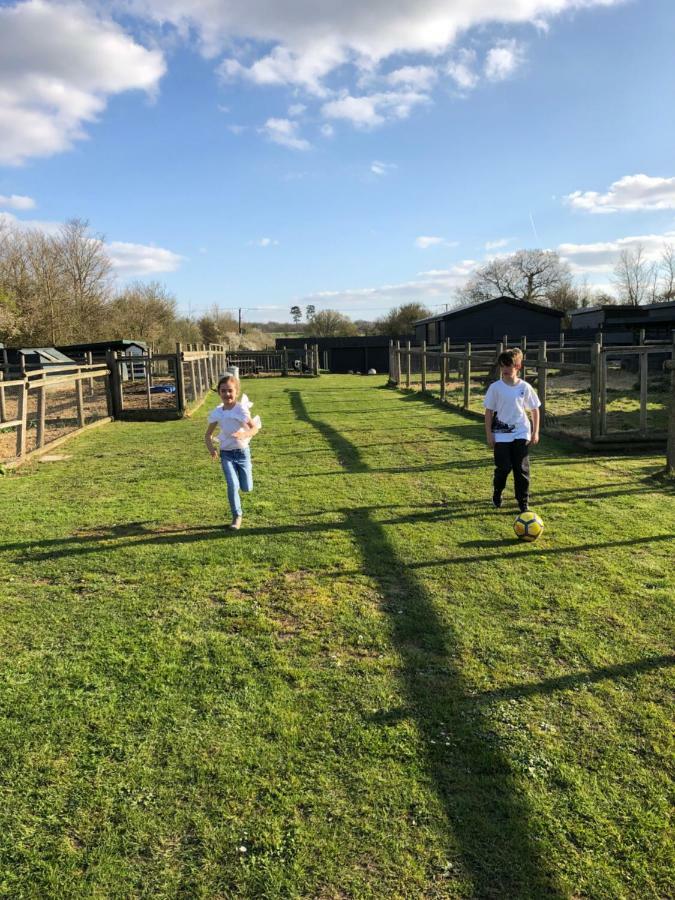 Willow Court Farm Studio East & Petting Farm, 8 Mins To Legoland & Windsor, 15 Mins To Lapland Uk Bagian luar foto